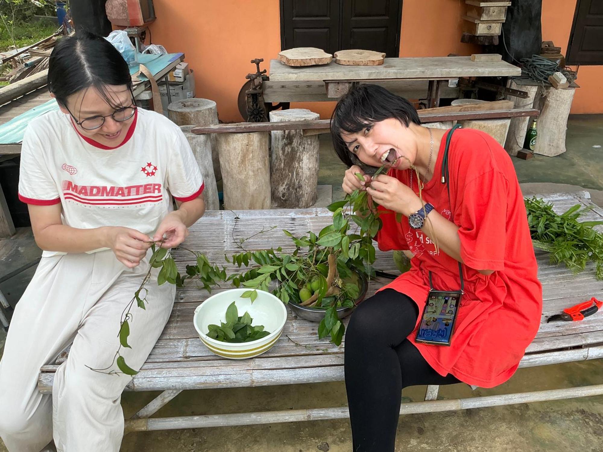 โฮมสเตย์บ้านนายสิงโตเขาคูหา Ban Khu Ha Nai المظهر الخارجي الصورة